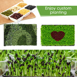 RMBHM Microgreens Growing Trays Kit – 6 Pack Micro Green Grow Trays with 12 Hemp Fiber Grow Mats, 15 x 11 x 2.5 Inch Seed Starter Trays for Growing Microgreens, Indoor Gardening