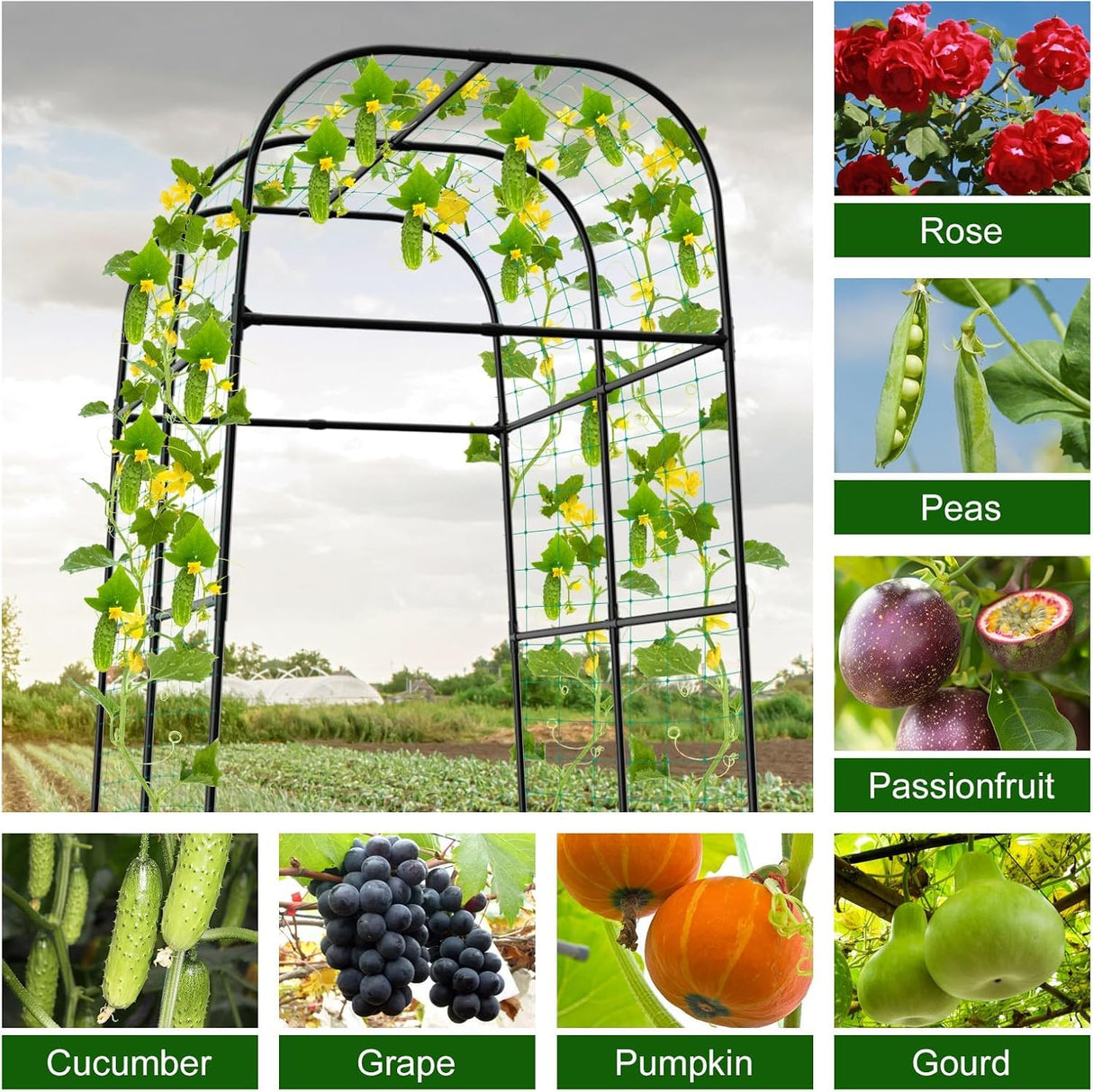 whiffee 7.3FT Cucumber Trellis for Raised Bed, Garden Arch Trellis with Net