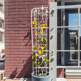 Thealyn Garden Trellis 2 Pack 72'' H x 12'' W Metal Plant Trellis