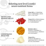 HCF A20 Microbead Brain Health Supplements for Adults for Memory, Focus, Calm, Mood, Alertness, Attention, Vision, Sleep, Immune System, 20 Premium Nootropic Nutrients Multivitamin & 7 Advances® Tech