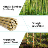 Latuxe Bamboo Stakes 6FT, 20pcs Garden Stakes 72in Specifically Designed for Climbing Plants, Ideal for Tomatoes, Beans, Cucumbers, Peppers, Vines, and More Plant Growth