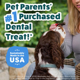 Shameless Pets Blueberry & Mint Dental Chews for Dogs, 32 Chews