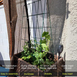RIFNY Cucumber Trellis for Raised Bed, Garden Trellis 16.5 x 40 Inch, Black