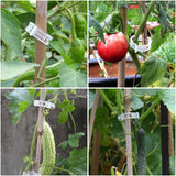 400 Pcs Plastic Trellis Plant Support Clips for Support, Grape and Tomato Vine, Vegetables Plants, Garden Clips to Grow Upright Makes Plants Healthier