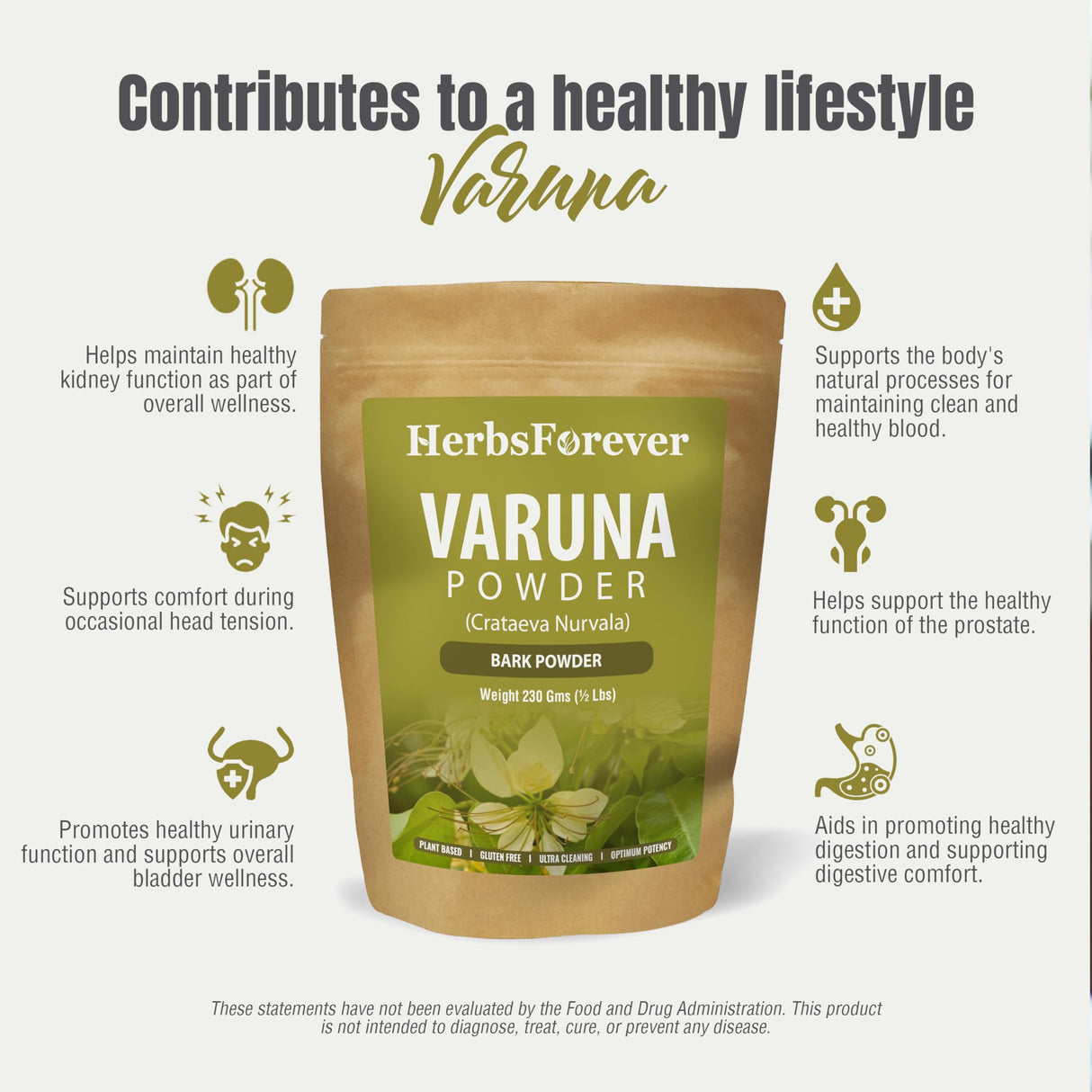 Herbsforever Organic Varuna Crataeva Nurvala Powder 230g Non-GMO, Vegan Extract for Bladder and Kidney Function Support, Promotes Natural Balance and Wellness