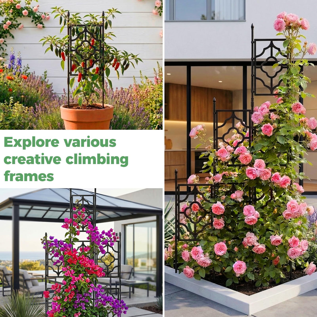 5.25FT Garden Trellis for Climbing Plants, Wall Trellis, 63 Inch Support Fence Climbing Plant Frame Outdoor and Indoor, Privacy Screen Plant Support Fence for Ivy Vines Vegetable Flower