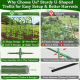 Cucumber Trellis for Raised Bed, Garden Arch Trellis for Climbing Plants Outdoor, Metal Garden Trellis for Spring Vegetables, Cucumber Trellis for Tomato, Bean, Pea, Grape, Plant