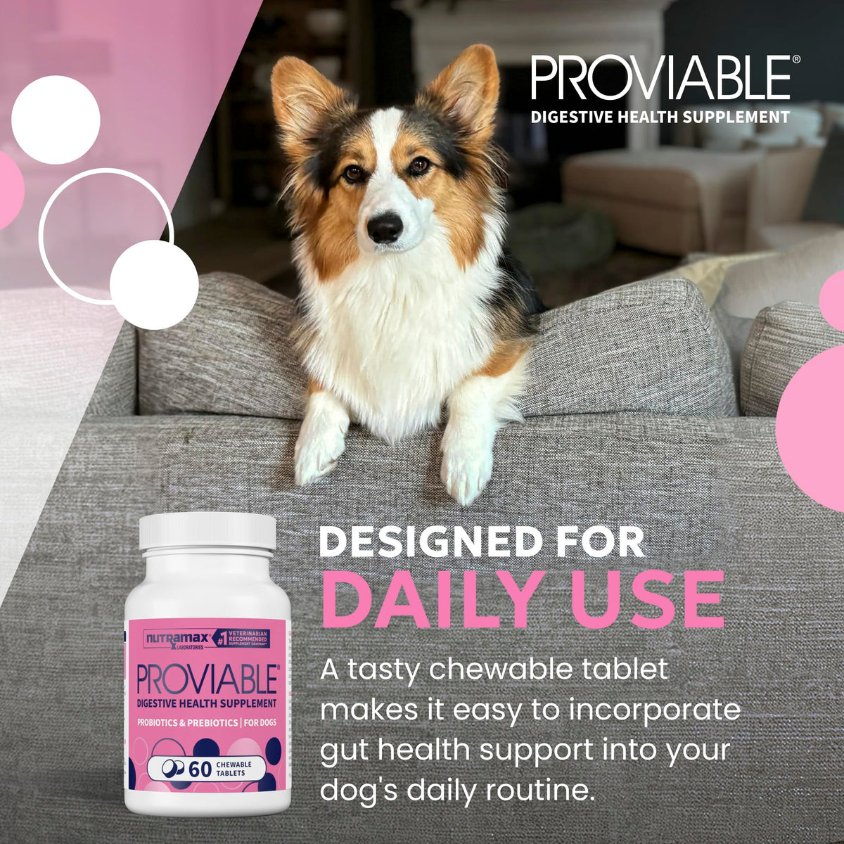 Nutramax Proviable Probiotics + Prebiotics for Dogs, Chewable Tablets, 60ct