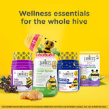 Zarbee’s Kids Elderberry Immune Support* Gummies, Daily Vitamins A C D3 E & Zinc, Real Elderberry Extract, Gelatin & Gluten Free, No Artificial Flavors, Natural Berry Flavor, Ages 2+, 42 Ct Bottle