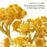 L'Occitane Immortelle Divine Cream 1.70 oz