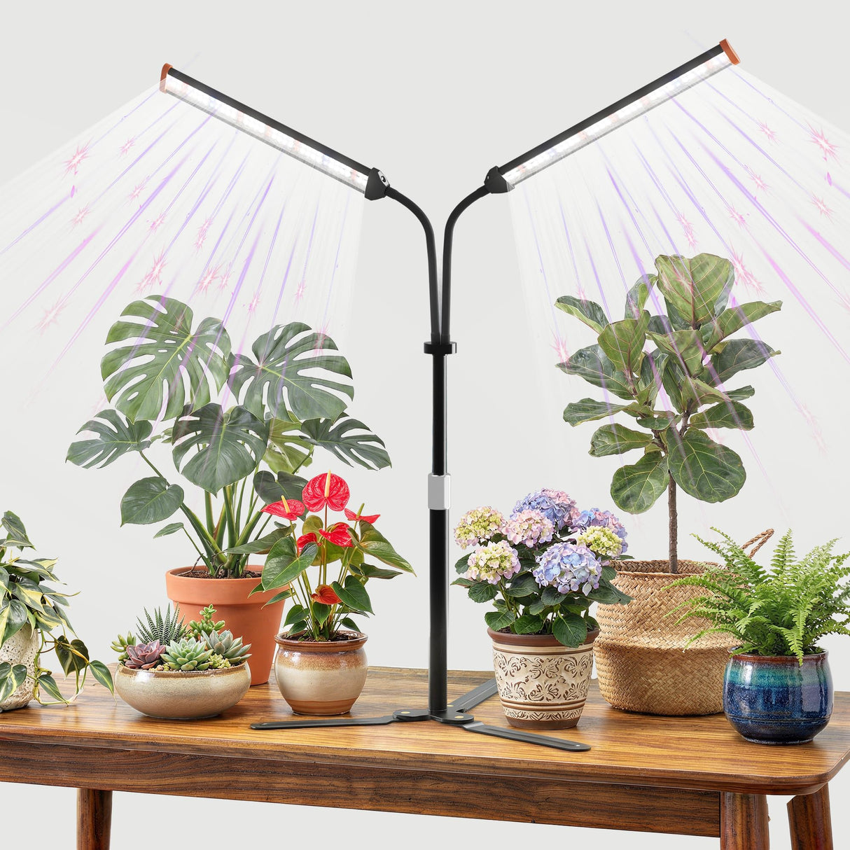 GooingTop Grow Light for Indoor Plants,Height 10-32'' with Dimming & Timer