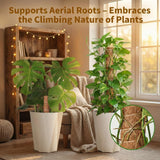 28'' Bendable Moss Poles & 12'' Stackable Coir Plant Sticks for Monstera