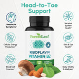 ForestLeaf Vitamin B2 Riboflavin 400mg, 90 Vegetarian Capsules