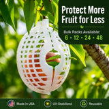 Rooted Promise Fruit Protection Cages for Peaches and More | 2026 Improved Secure-Lock Design | Small 4x5 Inch | 12 Pack | Squirrel Resistant | Reusable Heavy-Duty Plastic | Made in USA