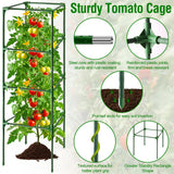 Fabulas Tomato Cage, Square Tomato Trellis Plant Support Stake Cages for Garden and Pots Tall Up to 63 Inch Adjustable Cucumber Trellis for Raised Bed Outdoor Climbing Plants Vegetables Flower, 3 Pack