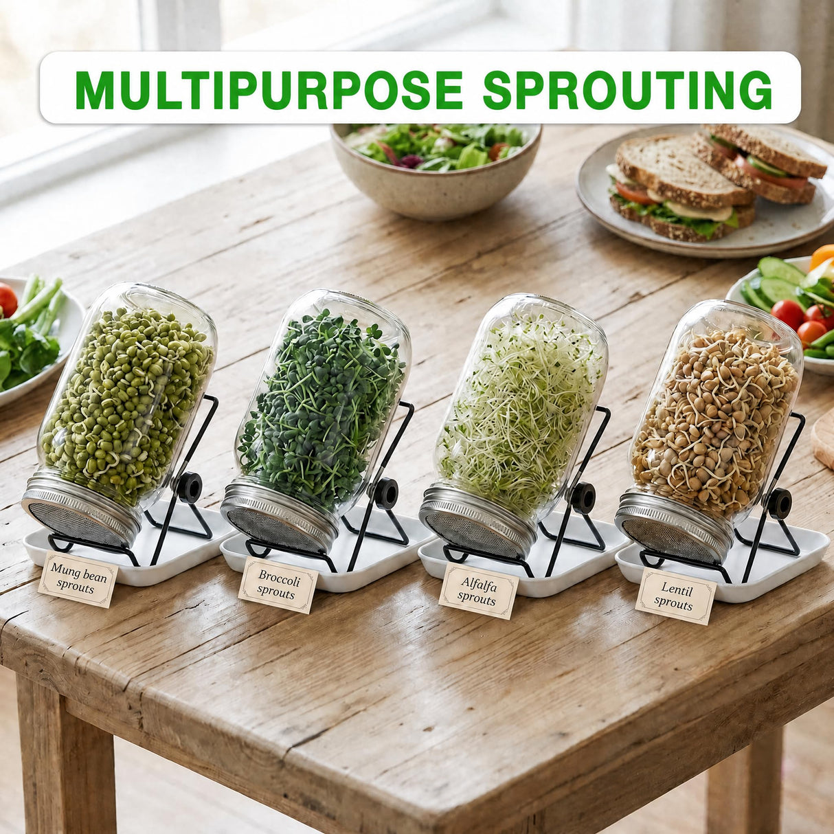 4 Large 1000ML Wide Mouth Mason Jar Sprouting Kit, with Stainless Steel Stand, Drain Tray & Cleaning Brush, High Germination for Beans, Broccoli, Fresh Sprouts