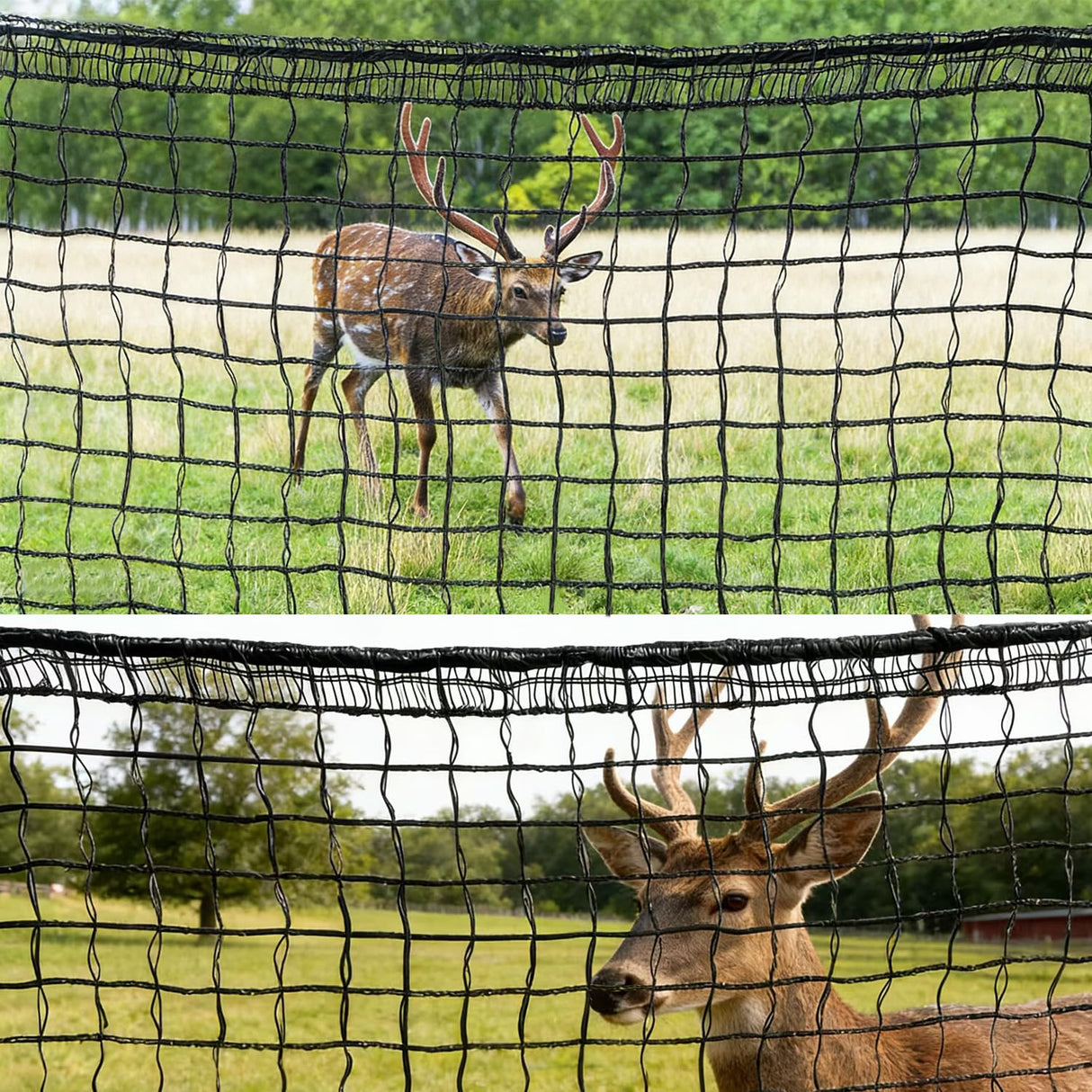 4 x 100ft Deer Fence Netting, Heavy Duty Deer Netting, 55GSM Deer Fence for Garden, Reinforced Edges Anti Bird Netting Mesh for Fruit Trees Vegetable, Raised Bed(55GSM, 4 x100ft)