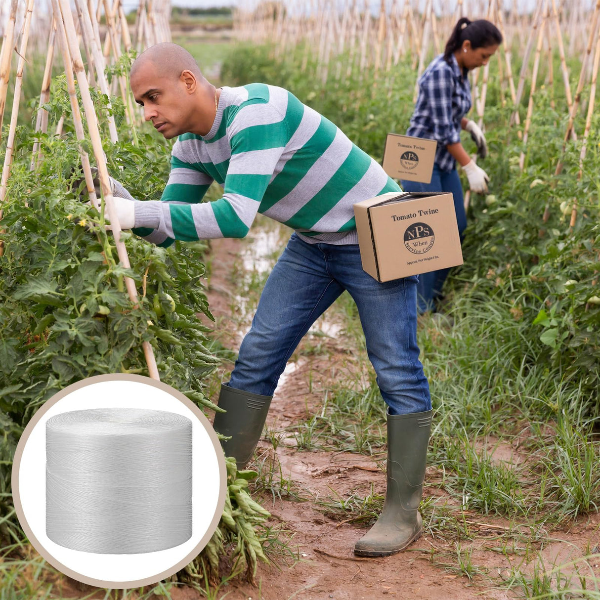 Yoojahow 6150 Ft Tomato Tying Garden Twine with Cardboard Storage Box Heavy Duty White Polypropylene Twine for Florida Weave Trellis Tomatoes, Climbing Plants, Floristry