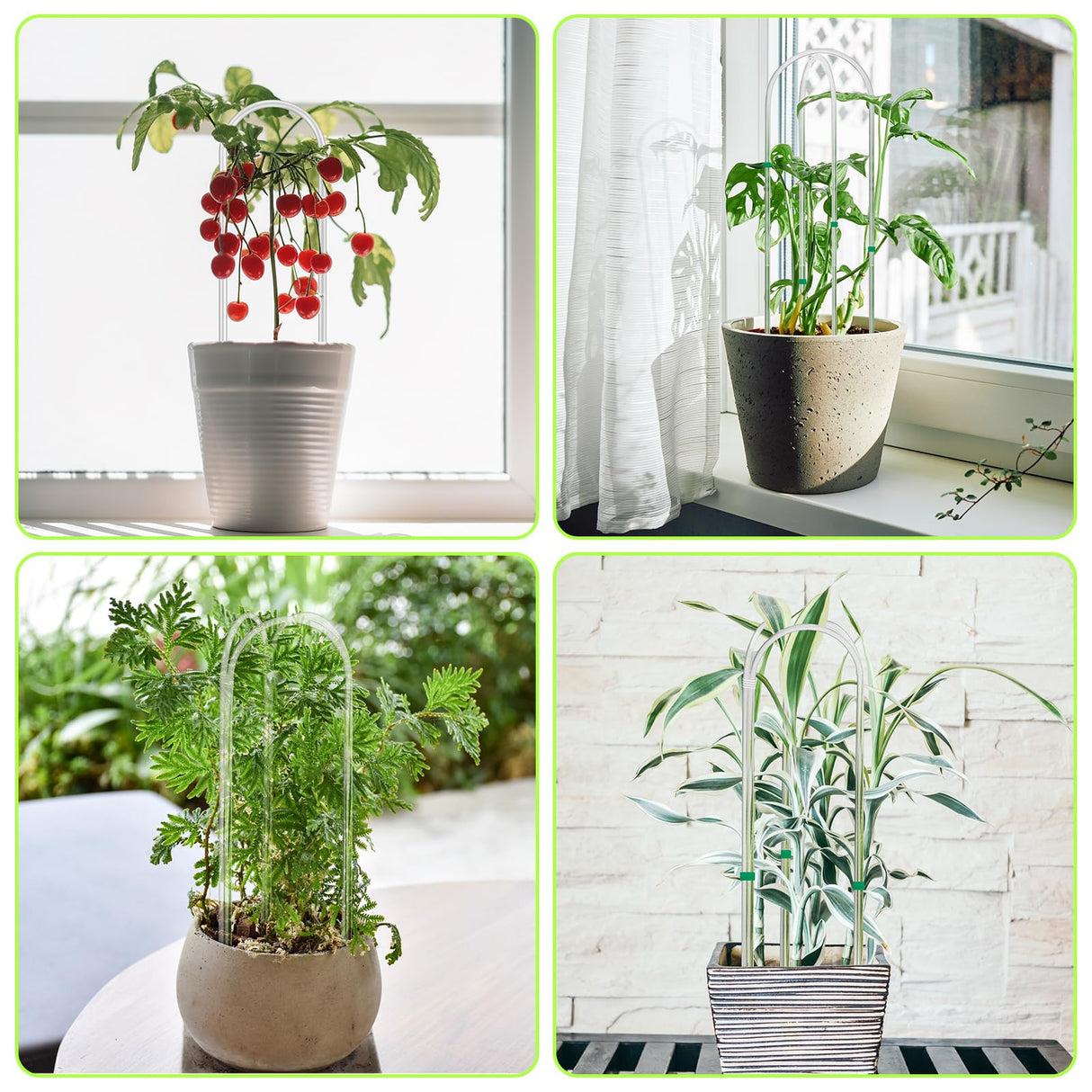 Vokvaktak 6 Pack U-Shape Acrylic Plant Trellis for Indoor Climbing Plants, 16 Inch Small Plant Trellis, Potted Plant Climber Support for Pothos, Vine Ivy, Houseplant