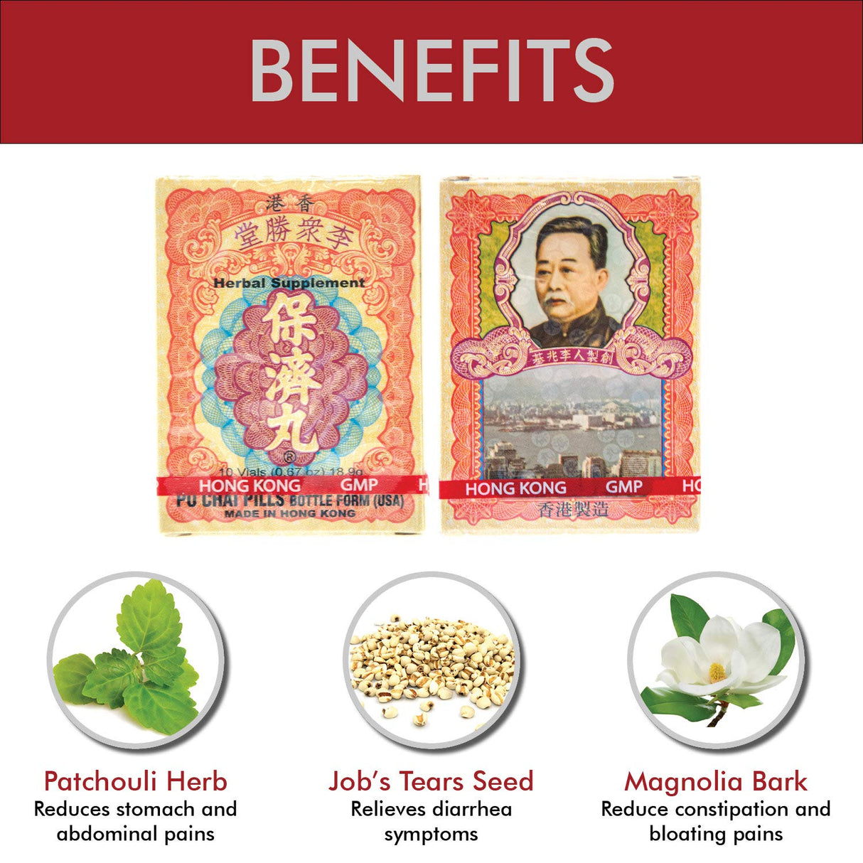 Po Chai Pills Herbal Supplement (Supports Immune and Gastrointestinal System) (10 vials) (1 Box)