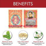 Po Chai Pills Herbal Supplement (Supports Immune and Gastrointestinal System) (10 vials) (1 Box)