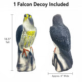 GiftExpress 16.5" Scarecrow Eagle Fake Hawk Decoy Statue, Pest Repellent, Bird Control, Garden Protectors, Outdoor Falcon Garden Décor, Eagle Repeller