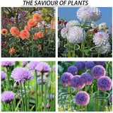 12 Pack 36 inch Plant Support Stakes,Single Stem Plant Support Stake Single Plant Stem Garden Flower Support Stake Steel Plant Cage Support Ring for Orchid Gladiolus Iris Dahlia Amaryllis Rose Lily