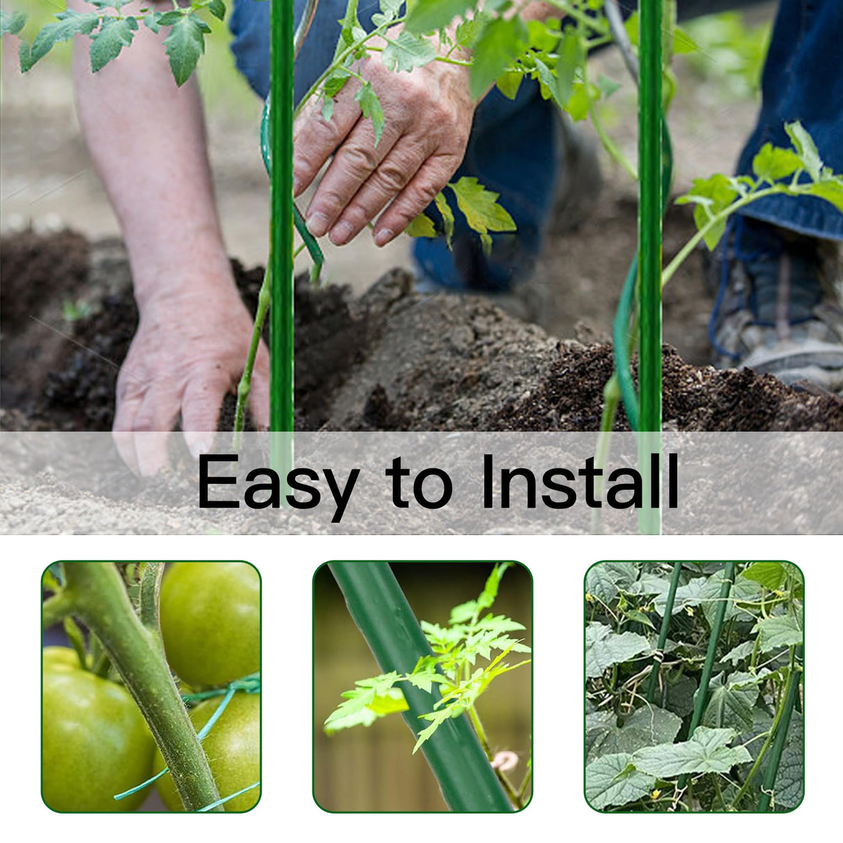 Garden Stakes 8ft, Metal Plant Stakes 8 Feet for Gardening and Farm, 0.78 Inch Dia Plastic Coated Plant Support for Tomato, Cucumber, Bean, Flower, Potted and More Climbing Plants 10 Pack