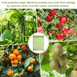 Unves Fruit Protection Bags, 12" x 16" Fruit Tree Netting Mesh Bag, 50 Pcs