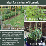 50Pcs / 4ft Bamboo Plant Stakes for Indoor Outdoor Plants, Garden Plant Support Sticks, Poles for Tomato Vegetables Beans Trees Potted Climbing Plants(0.32''-0.4'')
