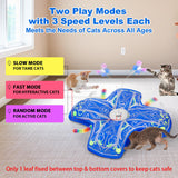 Qraxond Interactive Cat Toys for Indoor Cats,Automatic Kitten Tunnel Toy