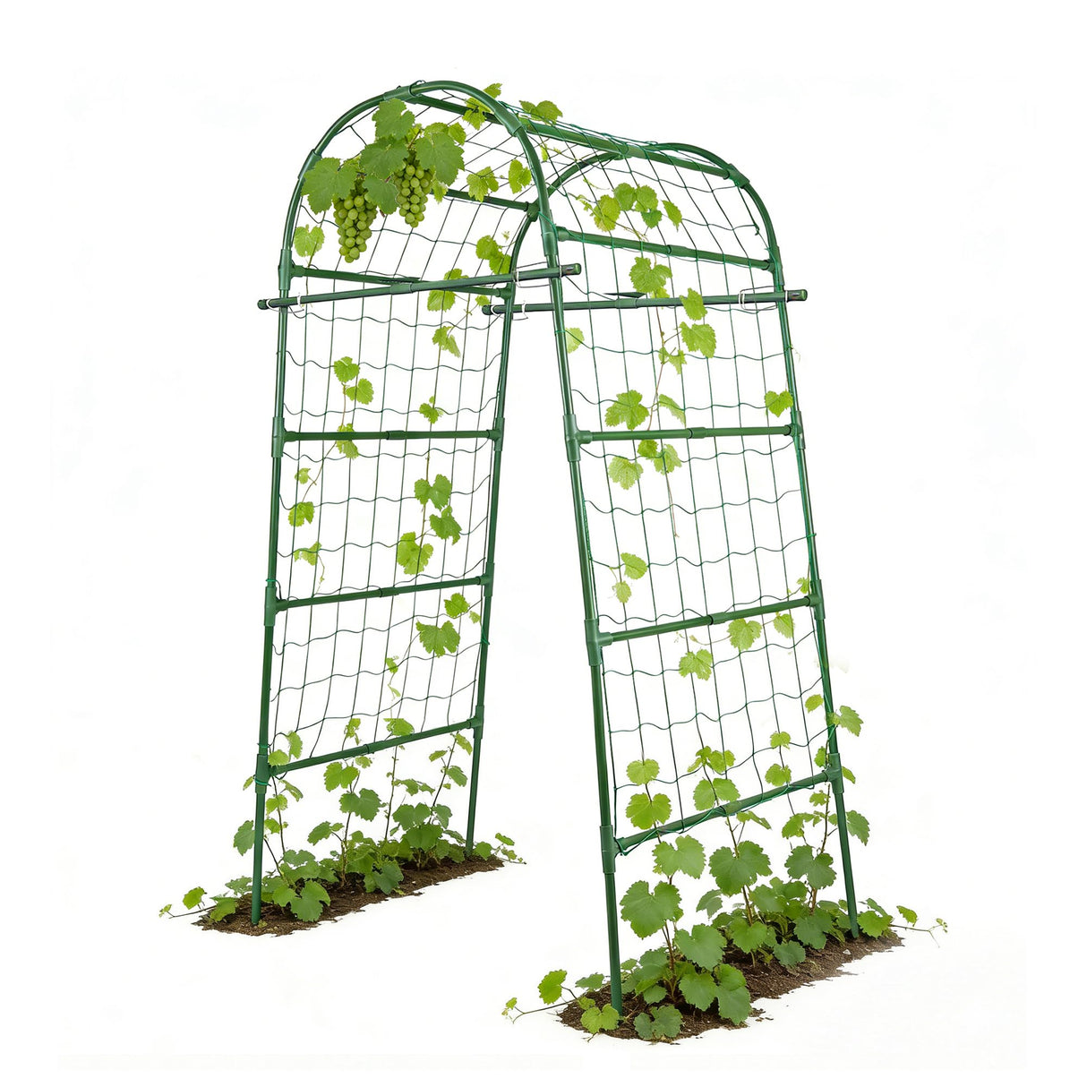 Garden Arch Trellis for Climbing Plants Outdoor, 7 Ft Tall Cucumber Trellis