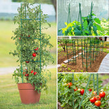 Yongblus 63Inch Tomato Cage for Garden, 4Pack Plant Support Garden Stakes