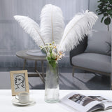 Soarer White Large Ostrich Feathers - 10Pcs Making Kit 34inch Extra Large Ostrich Feathers Long for Tall Vase,Floral Arrangement,Christmas Party Centerpieces and Wedding Home Decoration(White)