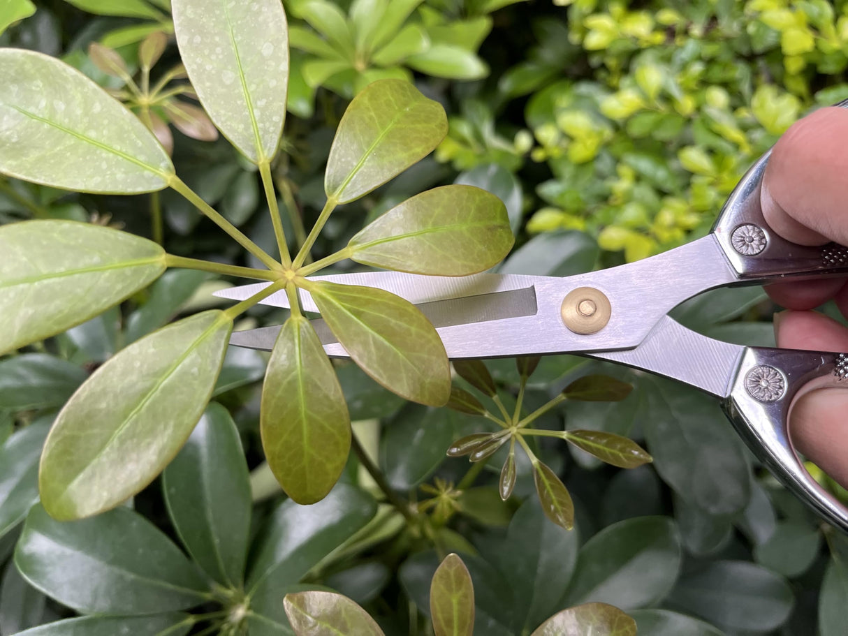 Horsvill Indoor Plant Shears Garden Scissors, Flower Pruners Made of Japan SK5 Stainless Steel, Flowers Herbs and Plant Cutters, Clippers, Trimmers, Loppers, Bonsai Potted Plant Pruning Scissors