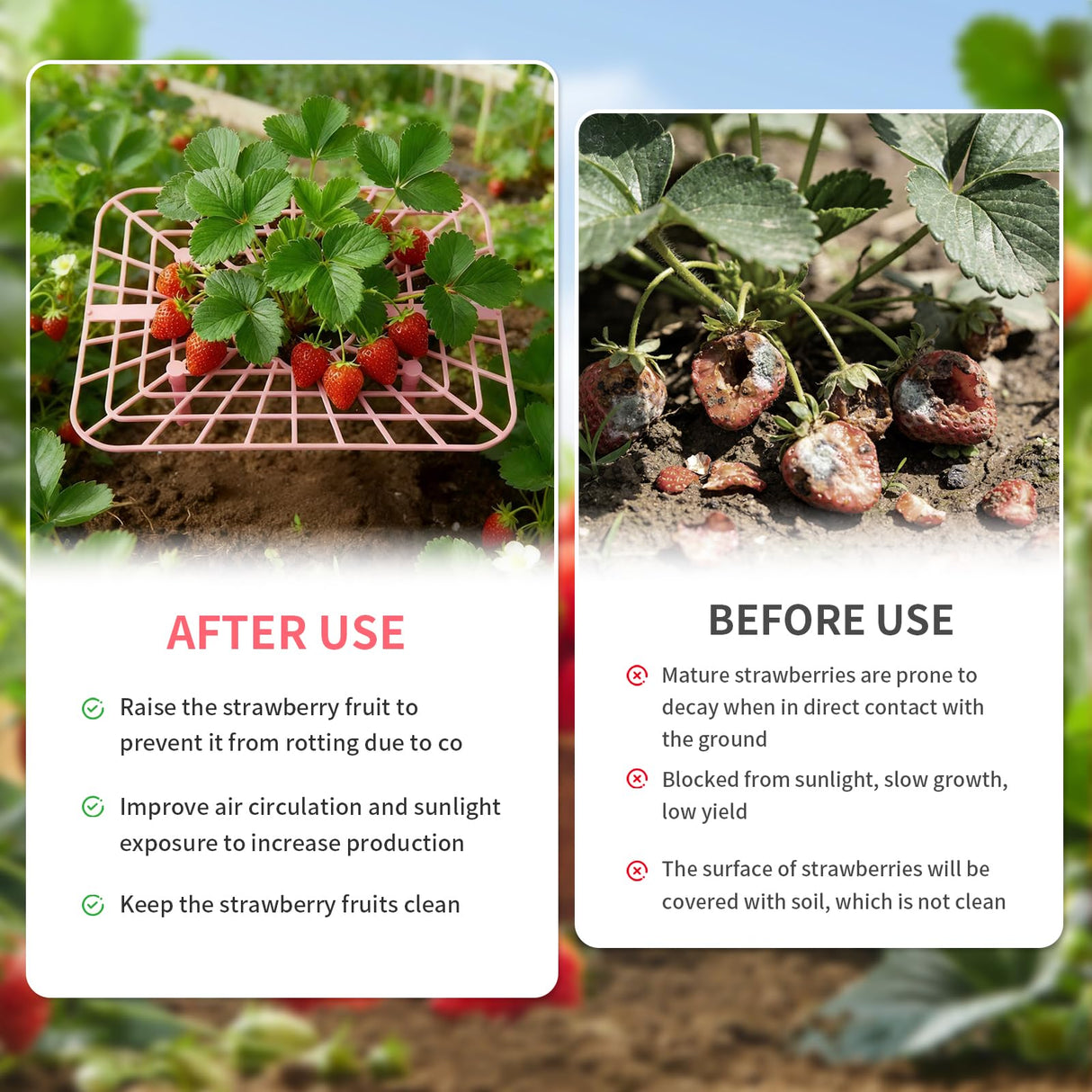 12 Pcs Garden Strawberry Supports Racks Strawberry Stand for Garden