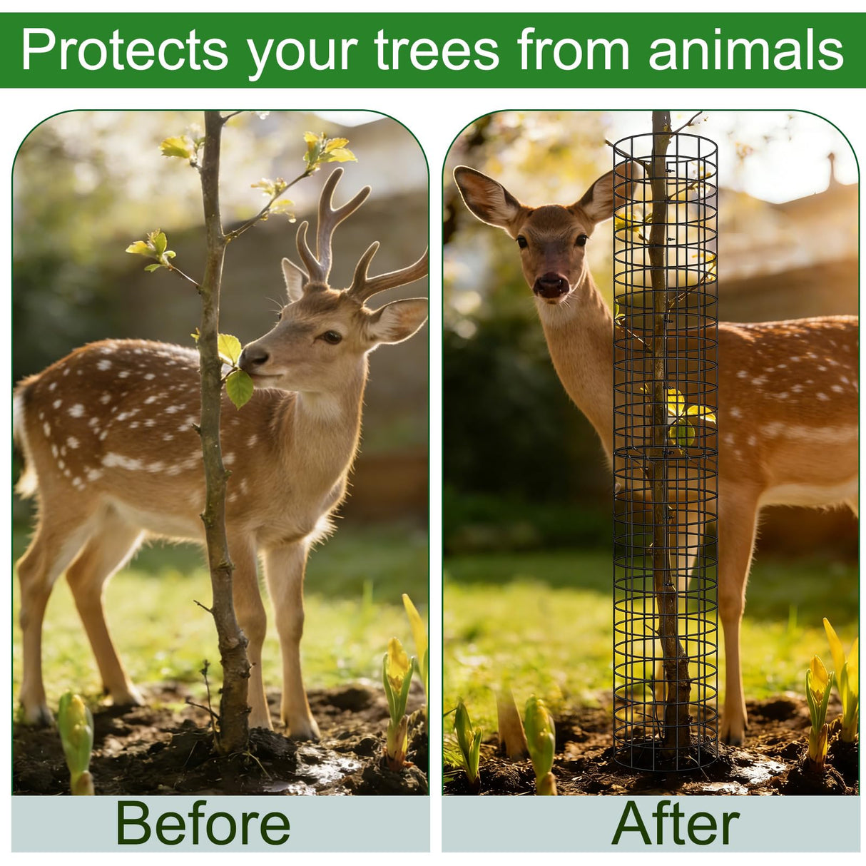 Augshy 10-Pack Tree Trunk Protectors, 17 × 13 Inch Expandable Metal Guard