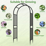 BUKLIYN Garden Arch - 47" L x 95" H Heavy Duty Metal Arbor, Powder Coated Rustproof Finish, Trellis for Climbing Roses Ivy Clematis