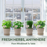 HOME GROWN Herb Garden Planter Indoor Kit – Unique Christmas Gift for Adults, Men, & Women - Grow 4 Heirloom Herb Seeds on Kitchen Window – Beginner DIY Craft & Hobby Gardening Gift for Plant Lovers
