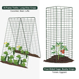 Amoskey Cucumber Trellis, Garden Trellis for Climbing Plants Outdoor, Foldable A-Frame Trellis, Cucumber Trellis for Raised Bed for Cucumbers, Peas, or Tomatoes (Green, Small Grid 48‘’H*34''W)