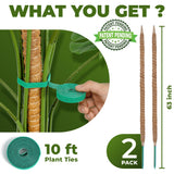 2 Pack 63 Inch Bendable Moss Pole Monstera Plant Support Stakes for Indoor Plants - Tall Moss Stick Trellis for Potted Climbers - Stem Support Accessories for Climbing Houseplants