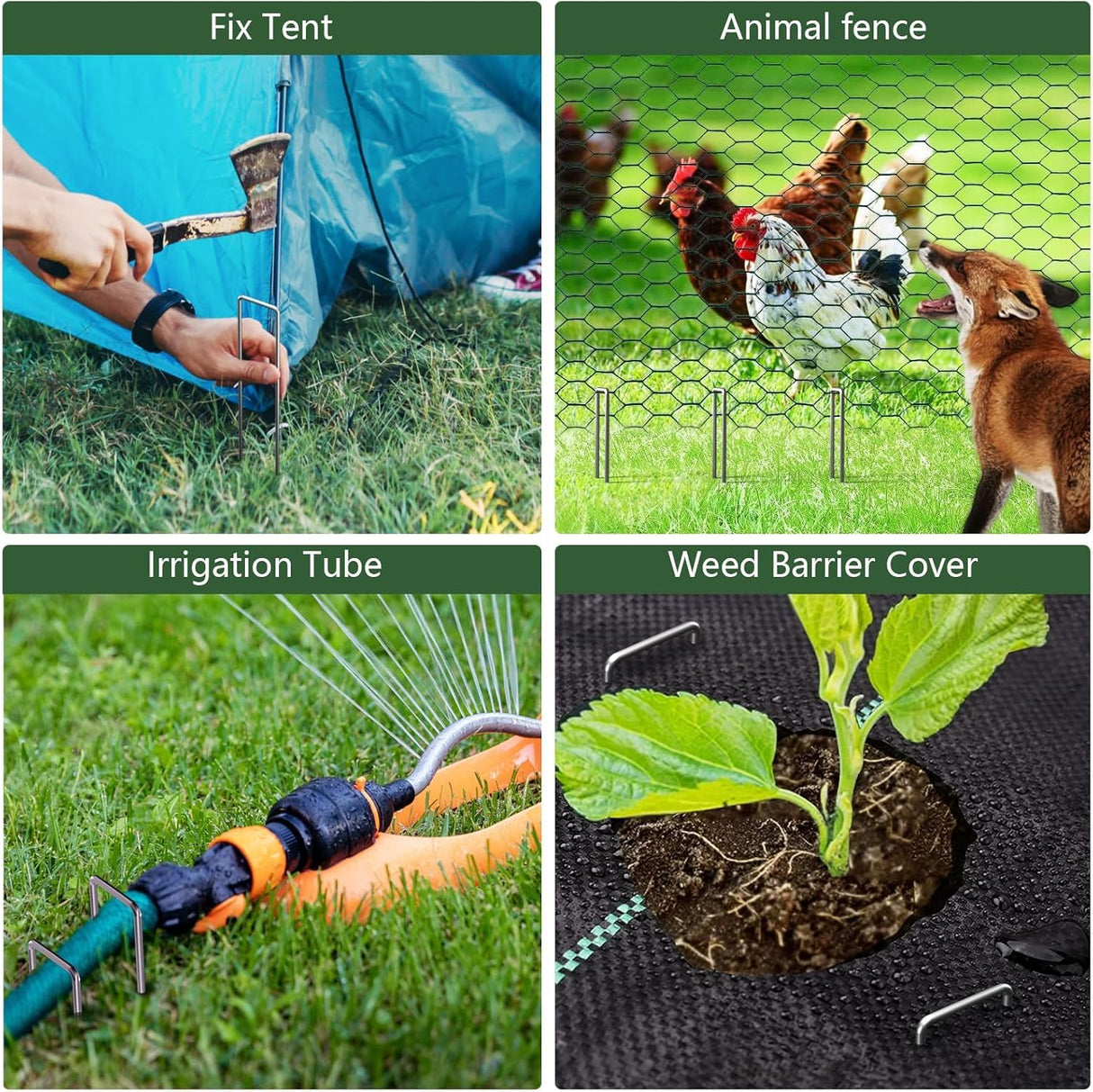 AMAGABELI 8 Inch 200 Pack Galvanized Landscape Staples 11 Gauge Anti-Rust Heavy Duty Garden Stakes Plant Cover Spikes U-Shaped Sod Pins Fence Stakes for Weed Barrier,Irrigation Tubing,Lawns,Decoration