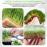 RMBHM Microgreens Growing Trays Kit – 6 Pack Micro Green Grow Trays with 12 Hemp Fiber Grow Mats, 15 x 11 x 2.5 Inch Seed Starter Trays for Growing Microgreens, Indoor Gardening