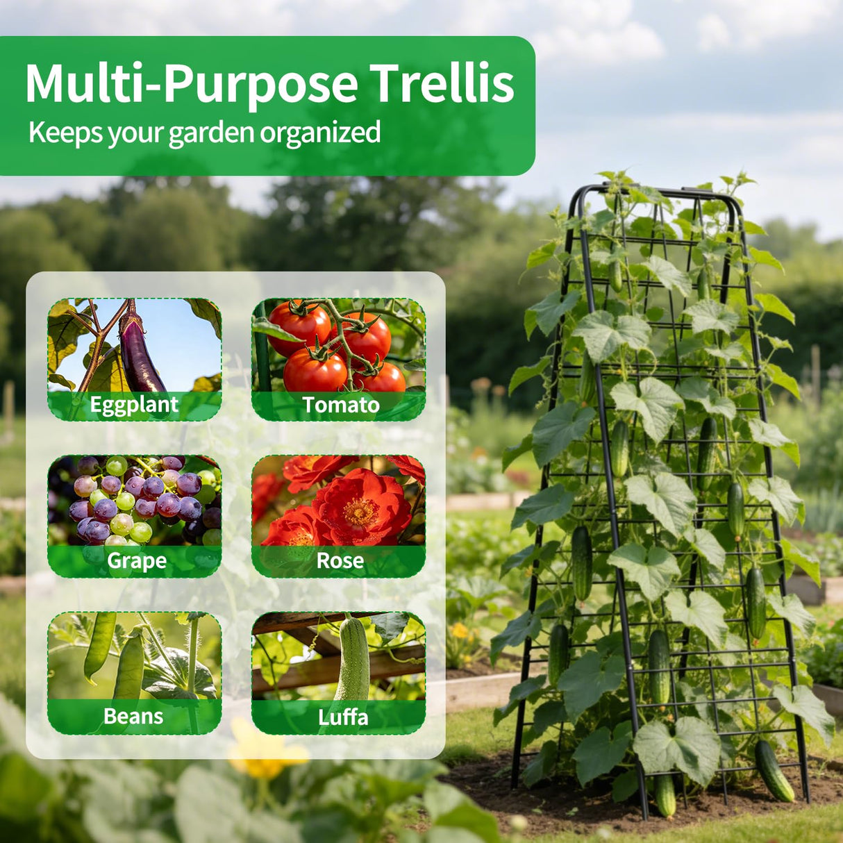 DOLEMODUO Heavy Duty Trellis for Climbing Plants, 50"x17" Adjustable Height Steel Cucumber Trellis, Powder Coated Metal Garden Trellis for Raised Beds,Tomatoes, Cucumbers & Outdoor Vines