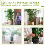 Tioncy 6 Pcs 48 H x 15.8 W Plant Support Stakes Cages for Garden, Metal Half Round Plants Tension Rods for Indoor Outdoor Large Tall Flower Vegetables Tomato Peony Rose Support