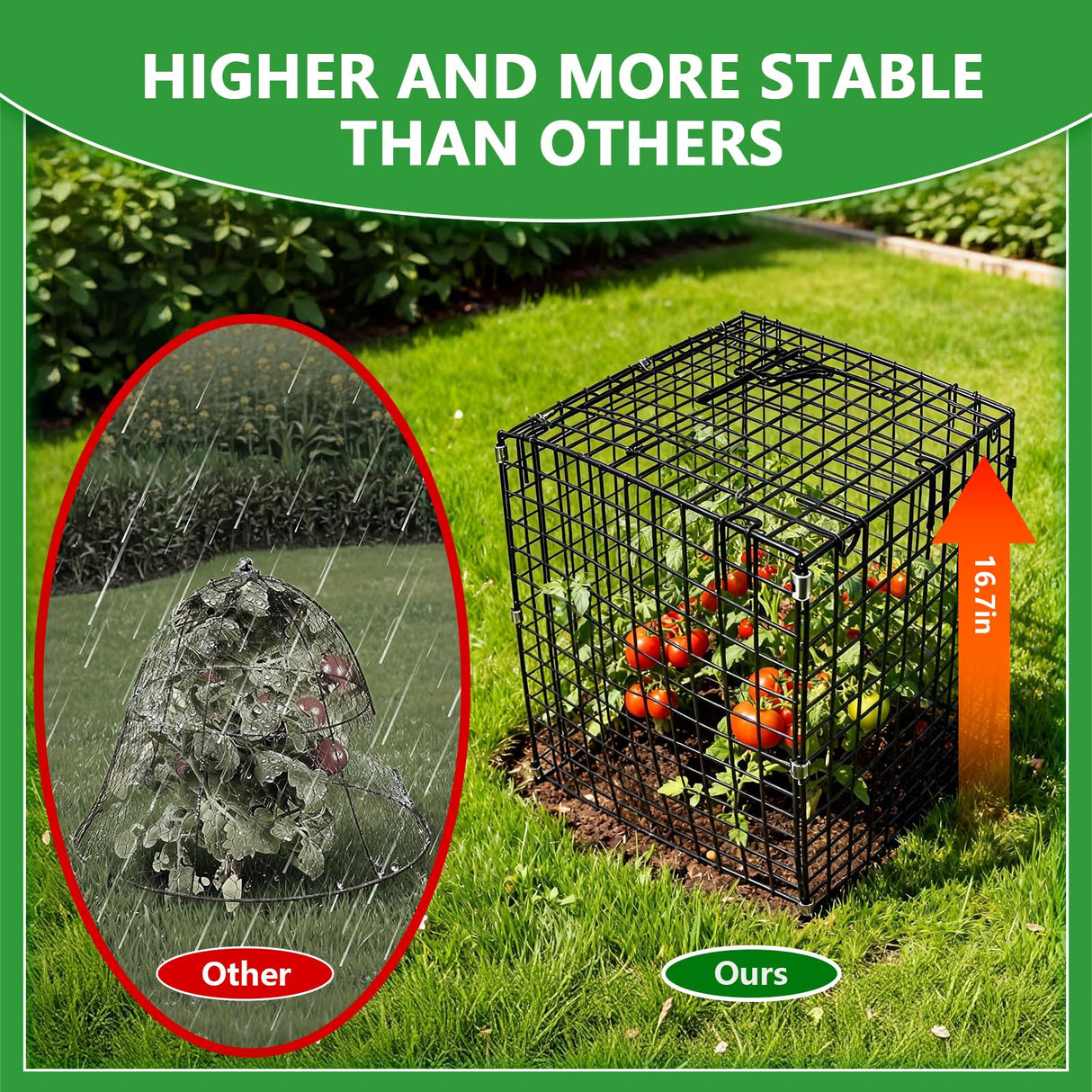 Metal Plant Cages for Outdoor Plants, Garden Cloches for Plants Rustproof