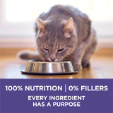 Purina ONE Natural Hairball Control Dry Cat Food, 7 lb Bag