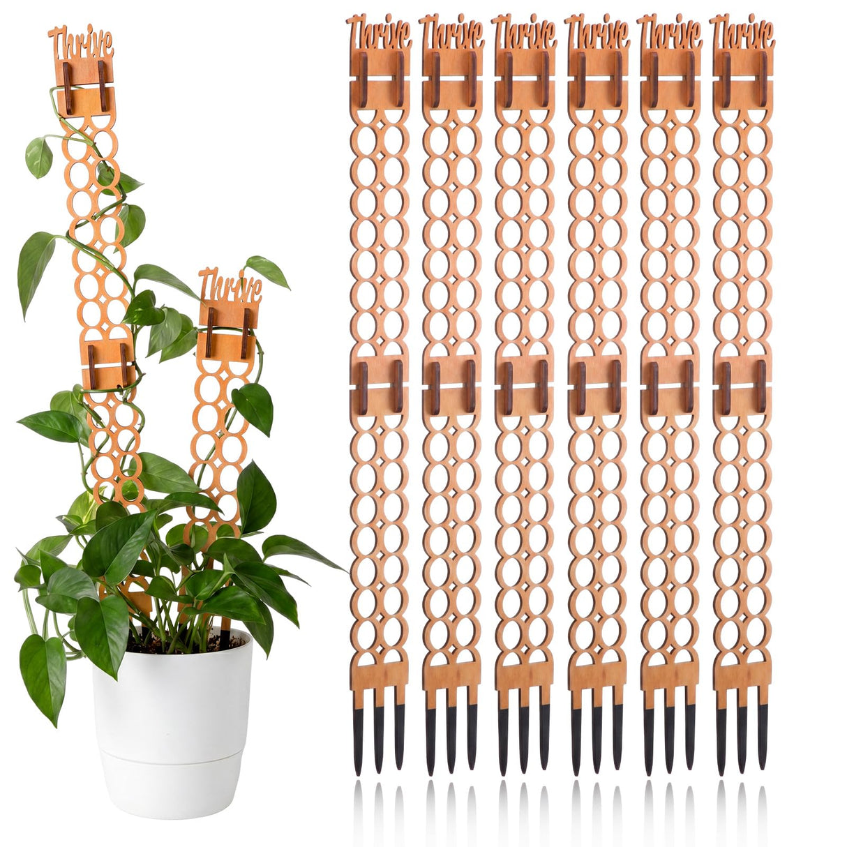 Otoolling 6 Sets Wooden Extendable Plants Trellis Indoor Modular Plant Trellis with Wood Thrive Sign Decor and Extensions for Outdoor Climbing Houseplants Vine Flower Stem(Circle)