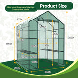 OLIXIS Outdoor Greenhouse, Walk-in Greenhouse with 2 Tier 8 Plant Shelves, Durable PVC Cover, 56"x56"x77" Portable Greenhouses for Outdoor Garden, Patio, Porch, Backyard Green Houses, Green