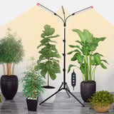 Orchbloom 3Head Grow Light with Stand, 5-Mode Timer 4/8/12/16/20H, 27 Watt Power Home Plug LED Grow Lights for Indoor Plants for Tall Houseplants, Bonsai Tree, Seed Starting, 24"-64" Adjustable Height